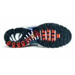 Nike Air Max Plus Euro Tour - Image 3